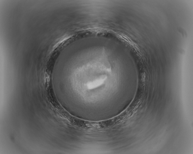 X0000112101302200908041503