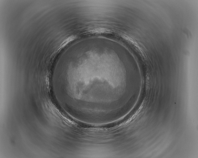 X0000112101305200908041503