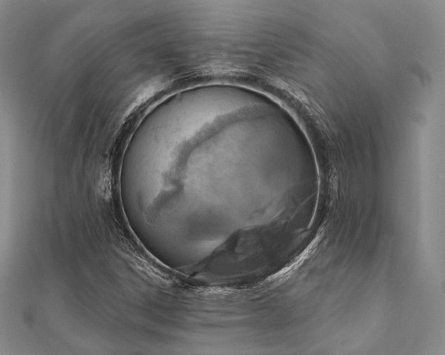X0000112101306200908041503