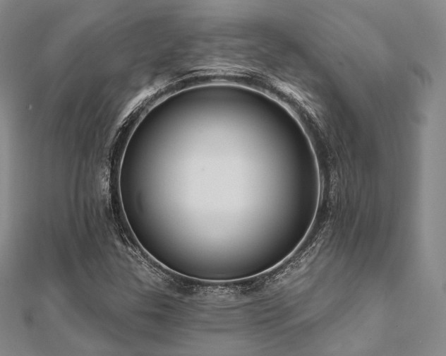 X0000112101307200908041503