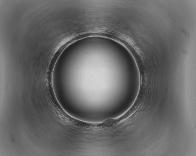 X0000112101308200908041503