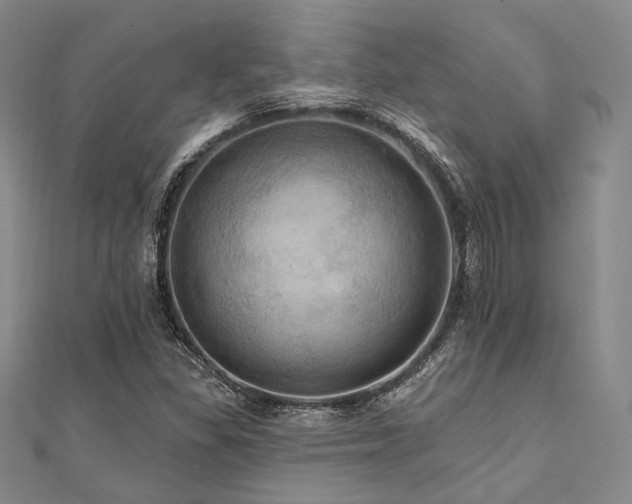 X0000112101309200908041503