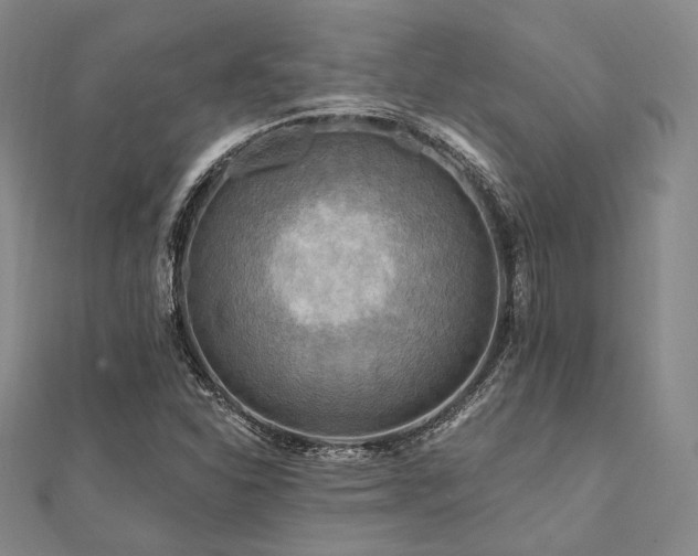 X0000112101310200908041503