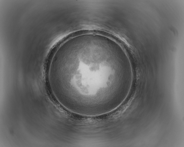 X0000112101311200908041503