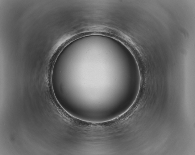 X0000112101312200908041503