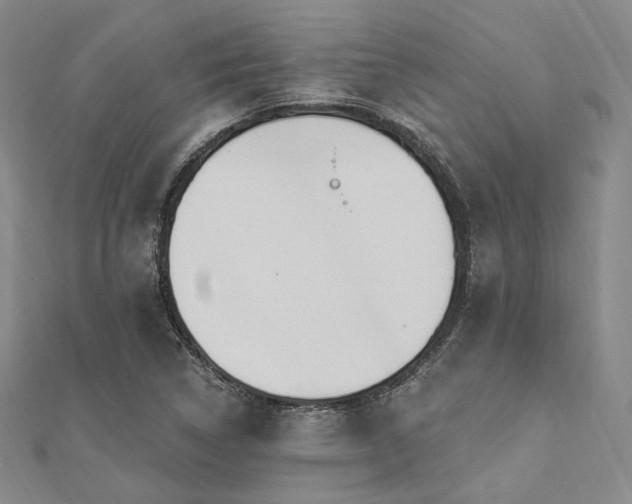 X0000112101314200908041503
