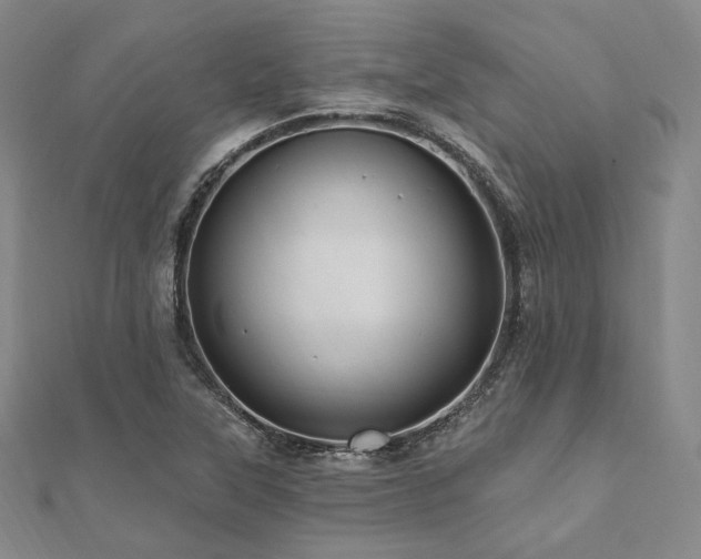 X0000112101315200908041503