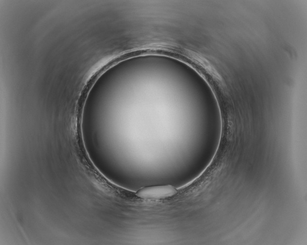 X0000112101316200908041503