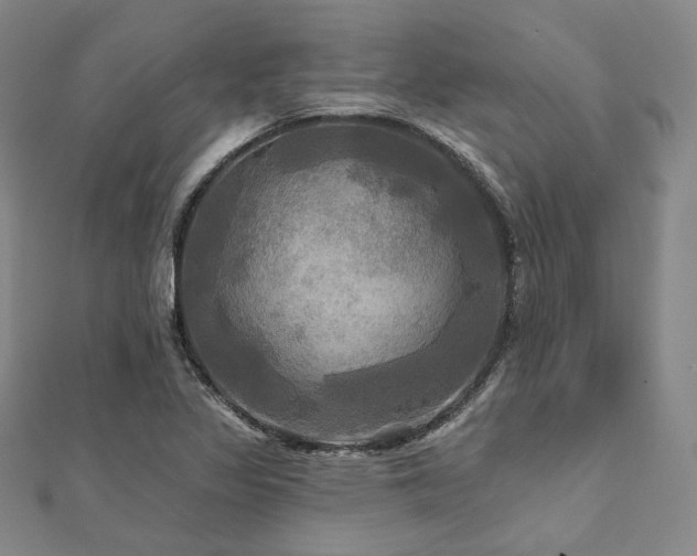 X0000112101317200908041503