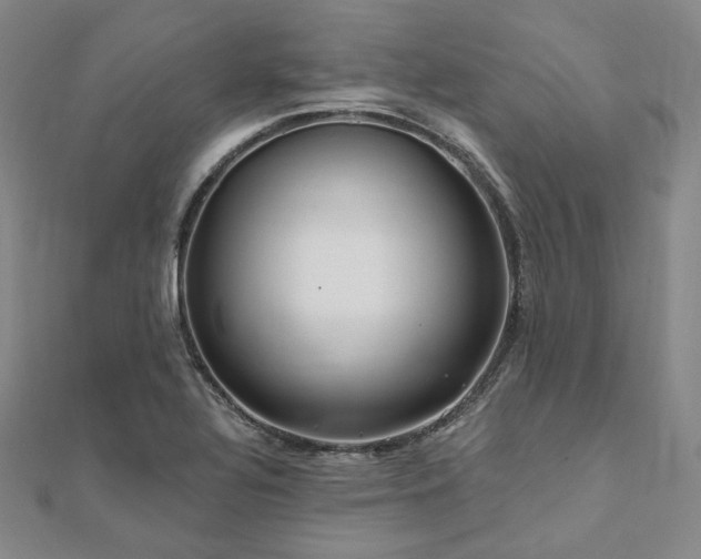 X0000112101320200908041503