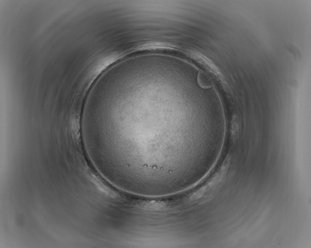 X0000112101321200908041503