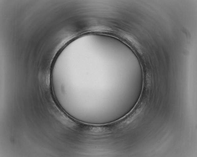 X0000112101322200908041503