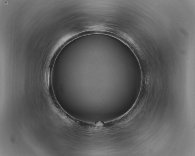X0000112101323200908041503