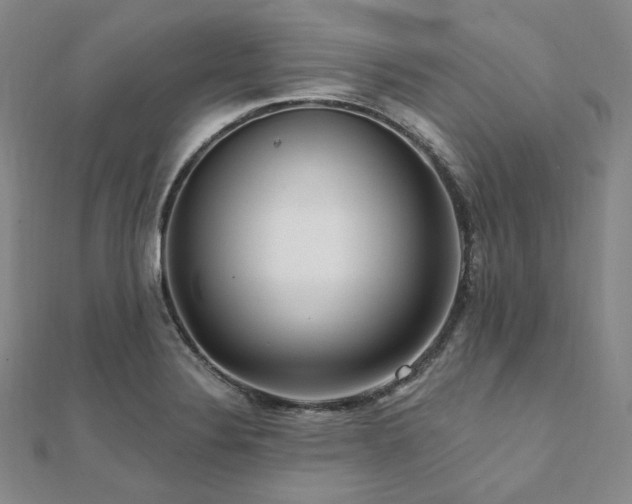X0000112101324200908041503