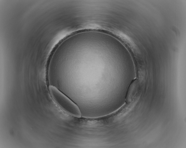 X0000112101326200908041503