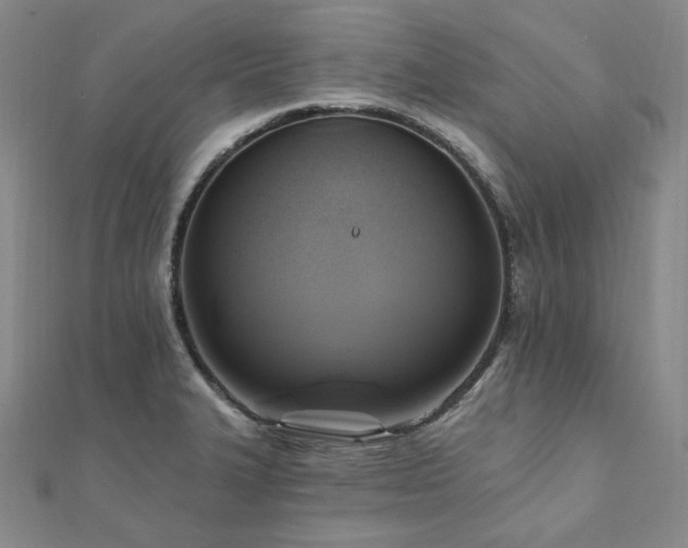 X0000112101327200908041503