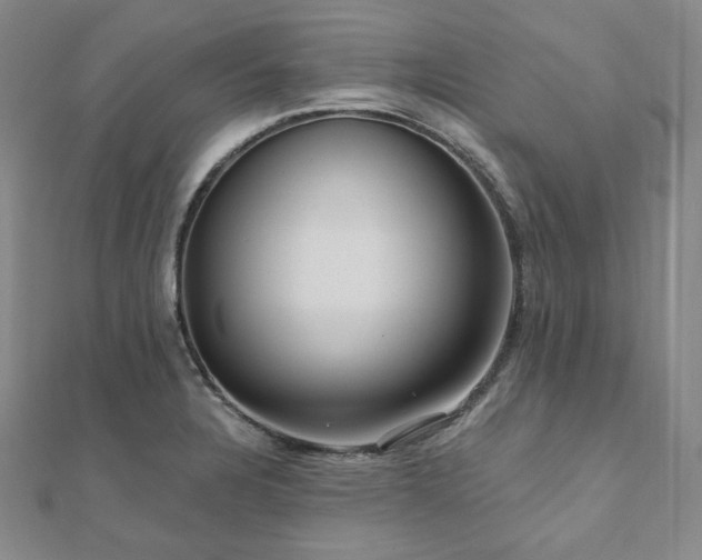 X0000112101328200908041503