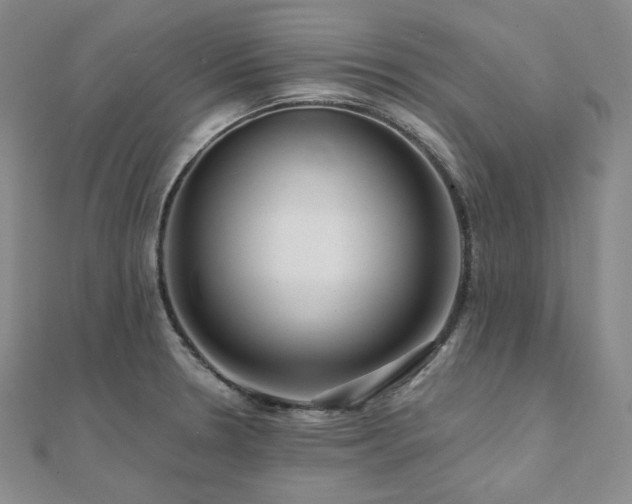 X0000112101330200908041503