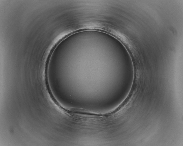 X0000112101331200908041503