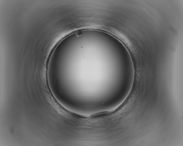 X0000112101332200908041503