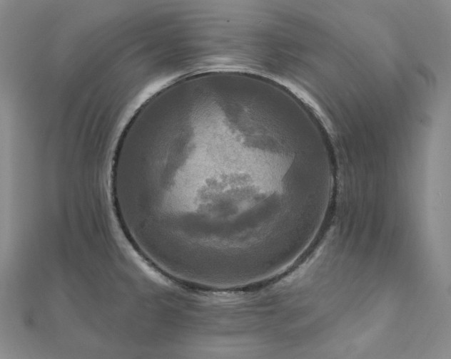 X0000112101333200908041503