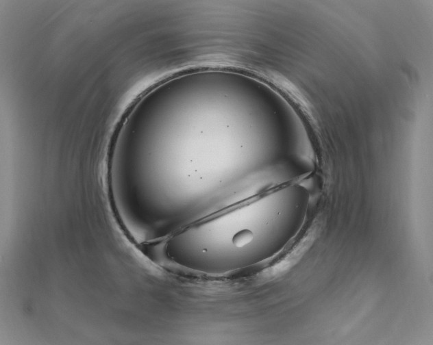X0000112101334200908041503