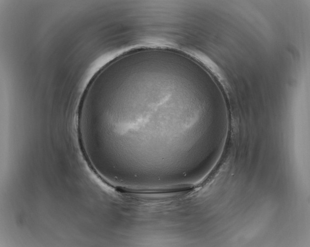 X0000112101335200908041503