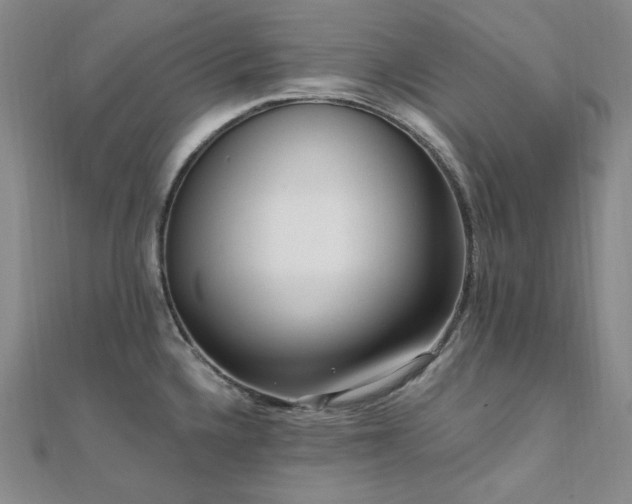 X0000112101336200908041503