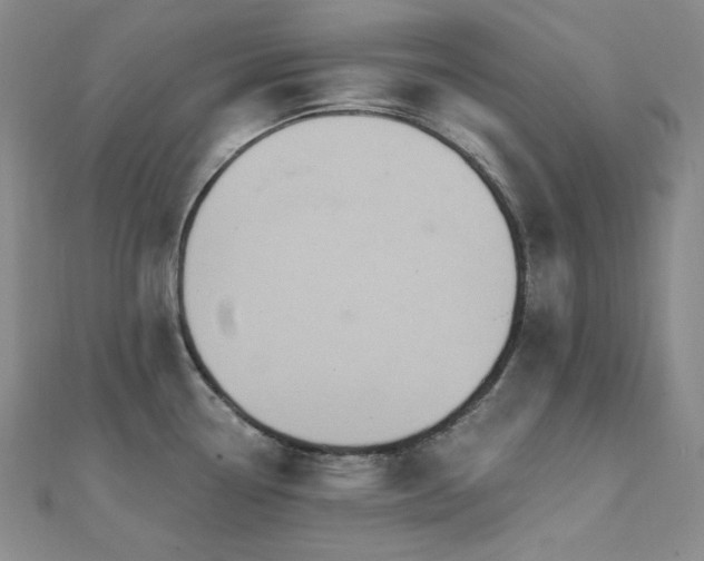 X0000112101338200908041503