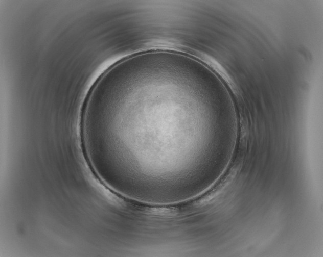 X0000112101339200908041503