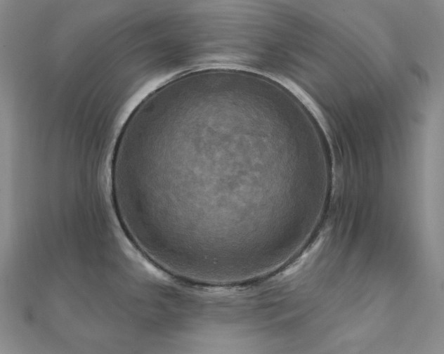 X0000112101341200908041503
