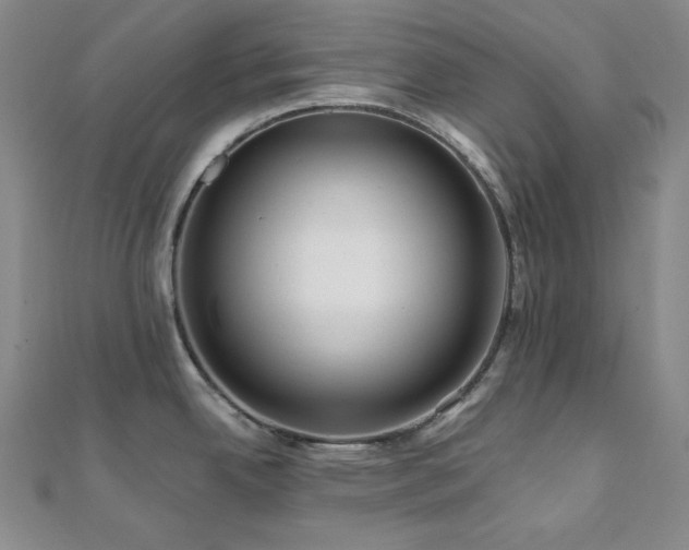 X0000112101342200908041503