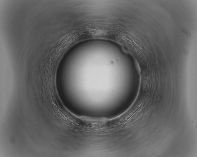 X0000112101345200908041503
