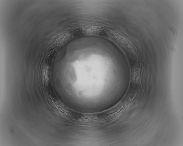 X0000112101346200908041503