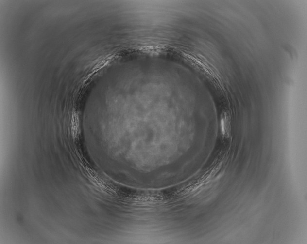 X0000112101347200908041502