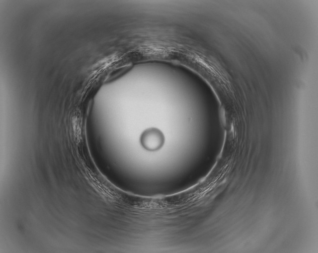 X0000112101348200908041502