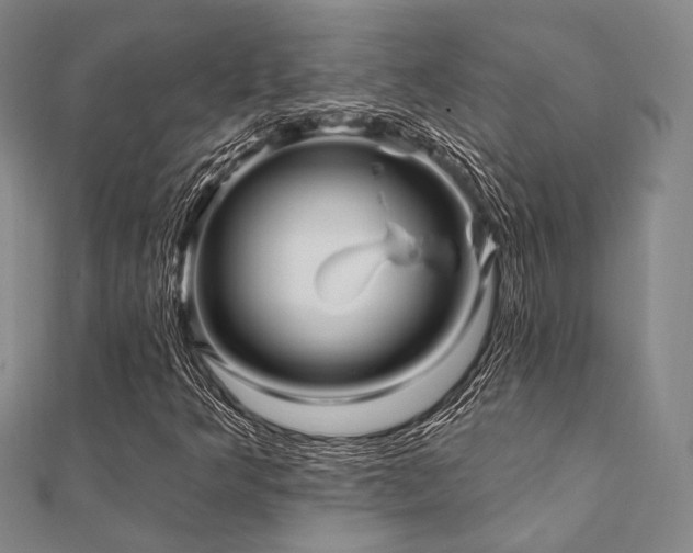 X0000112101349200908041502