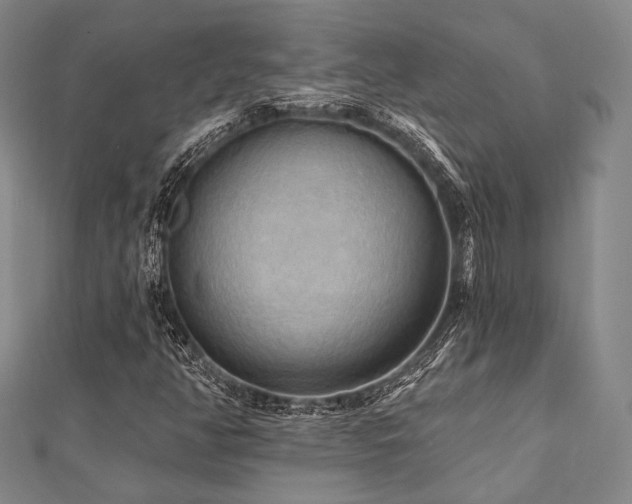 X0000112101350200908041502
