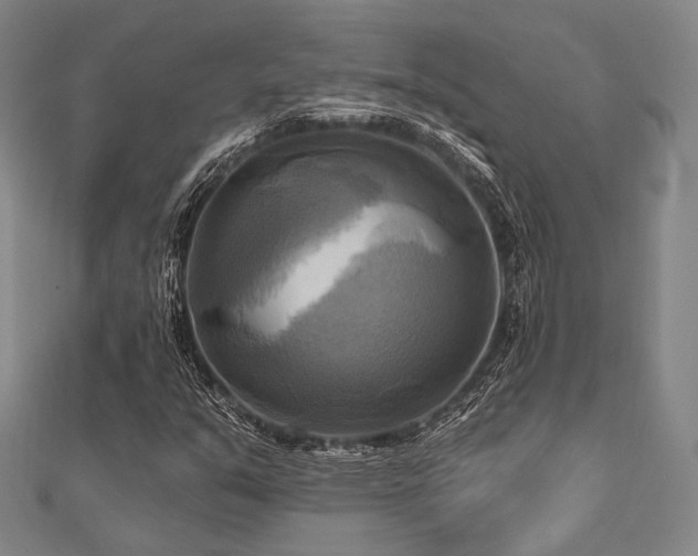 X0000112101351200908041502
