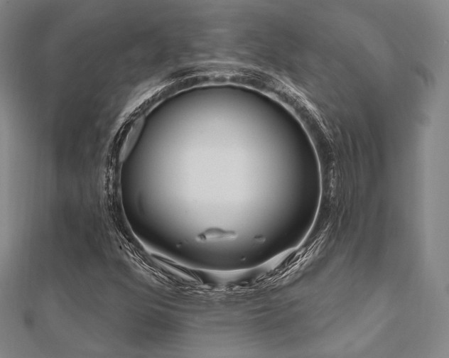 X0000112101352200908041502
