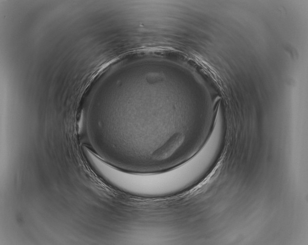 X0000112101353200908041502