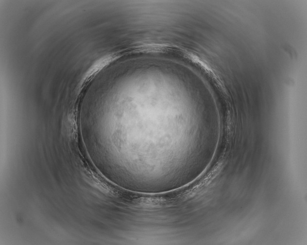 X0000112101354200908041502