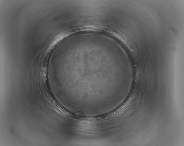 X0000112101355200908041502