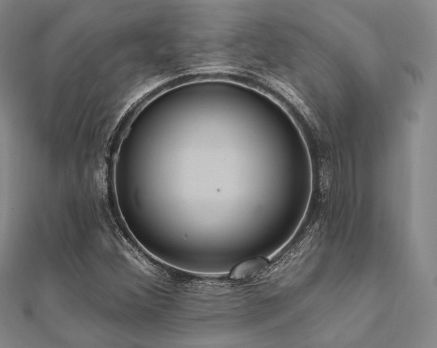 X0000112101356200908041502
