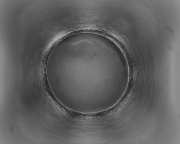 X0000112101359200908041502
