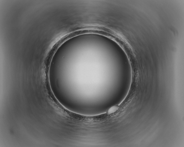 X0000112101360200908041502