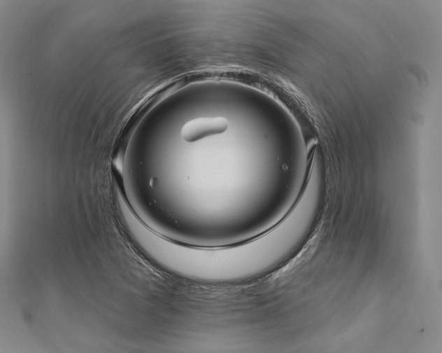 X0000112101361200908041502