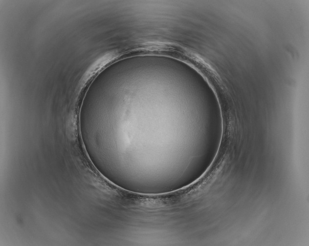 X0000112101362200908041502