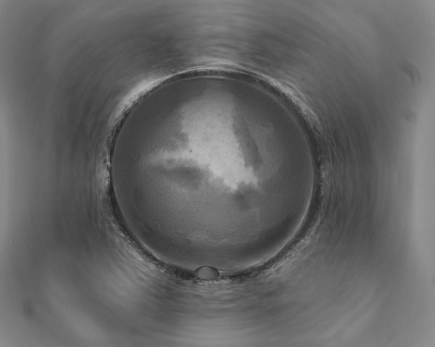 X0000112101363200908041502