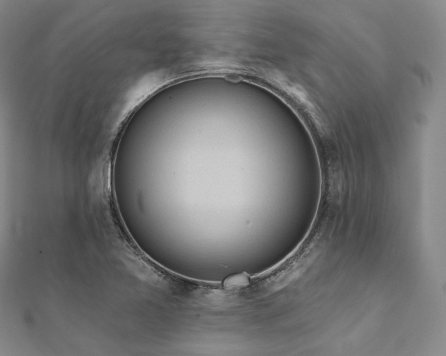 X0000112101365200908041502